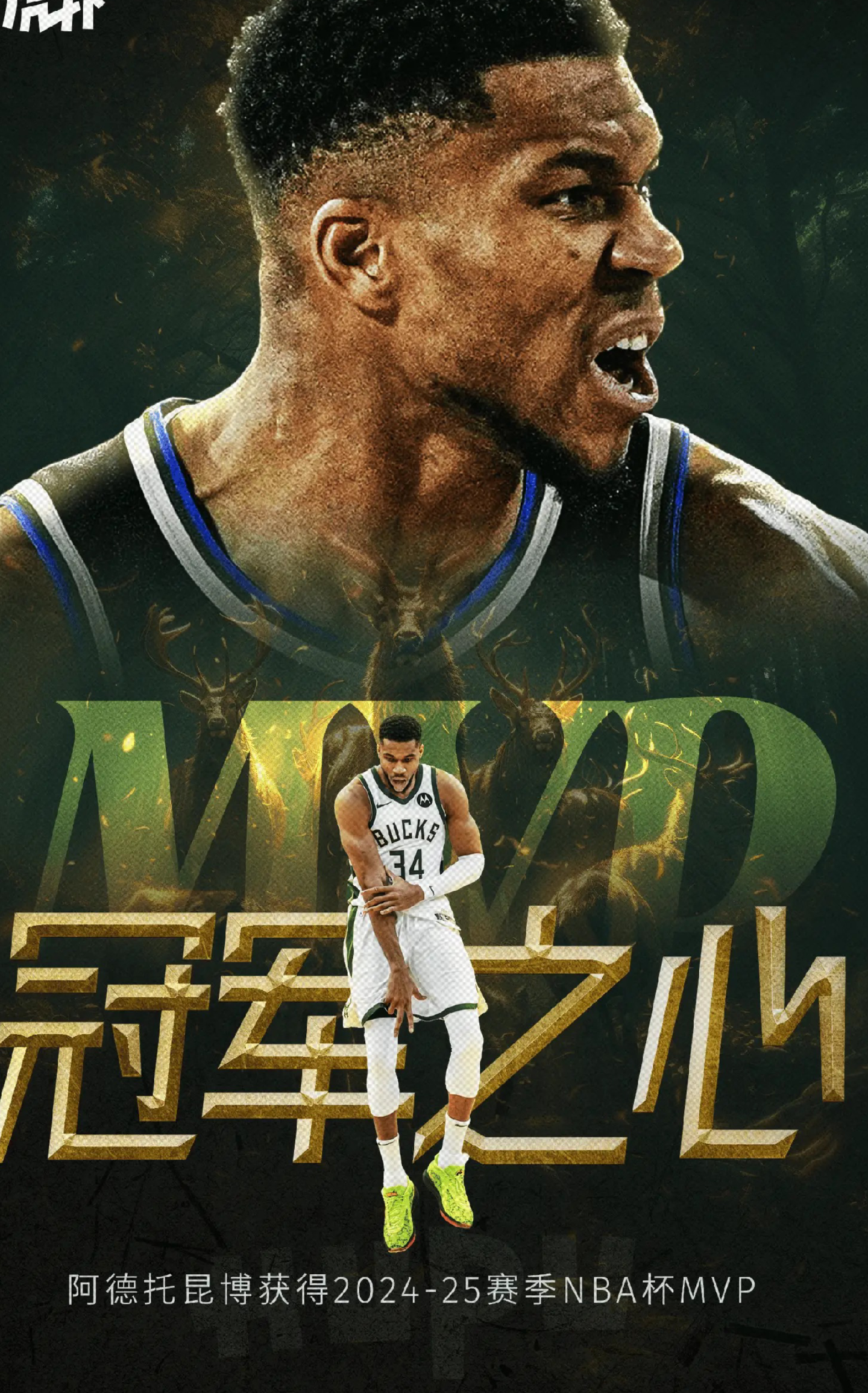 NBA球员本赛季得分王，夺得荣誉
