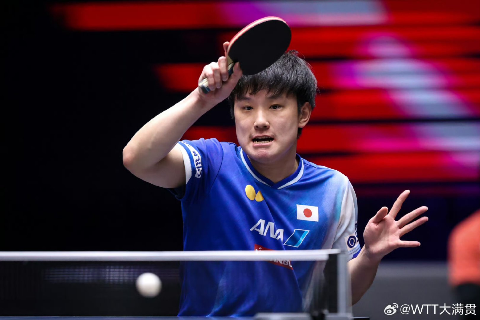 开云体育登录-瑞典队横扫德国队，张本智和关键制胜