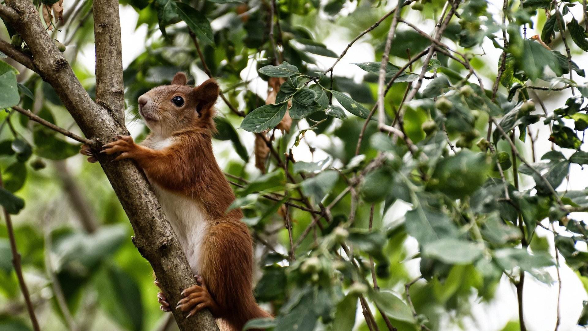 开云官网-战术碾压个人英雄主义？广厦队用东方密码为世界篮球刻下新坐标