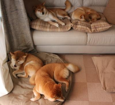 夜的棱角,当F1赛道遇见班凯罗的攻防转换法则