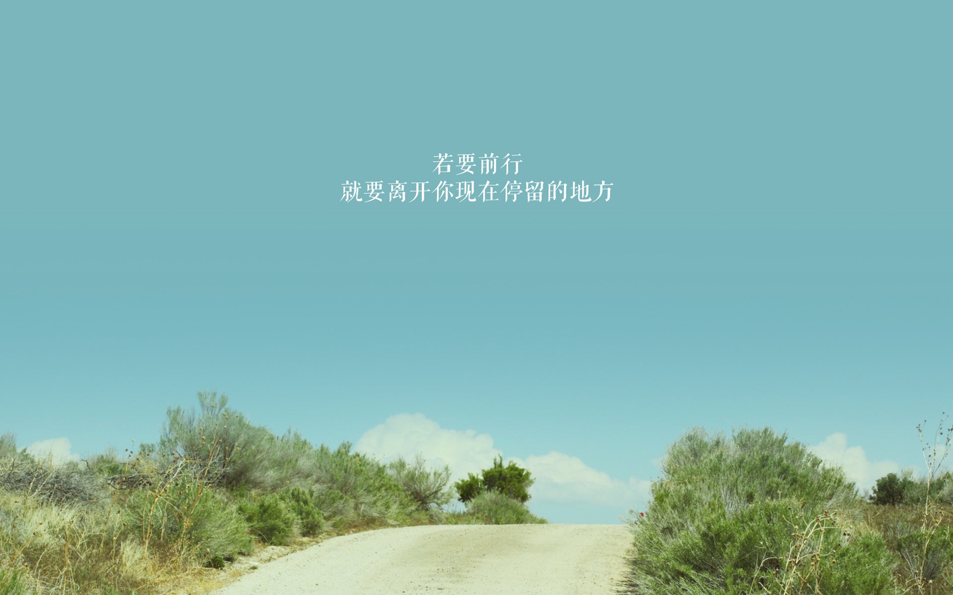 双线告捷,土耳其足球生死战力克埃及,阿劳霍F1街道赛主宰赛道