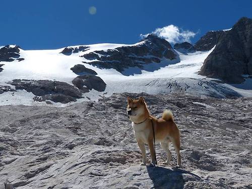 开云下载-巴西生死战力克牙买加，伊萨克欧冠半决赛主宰赛场