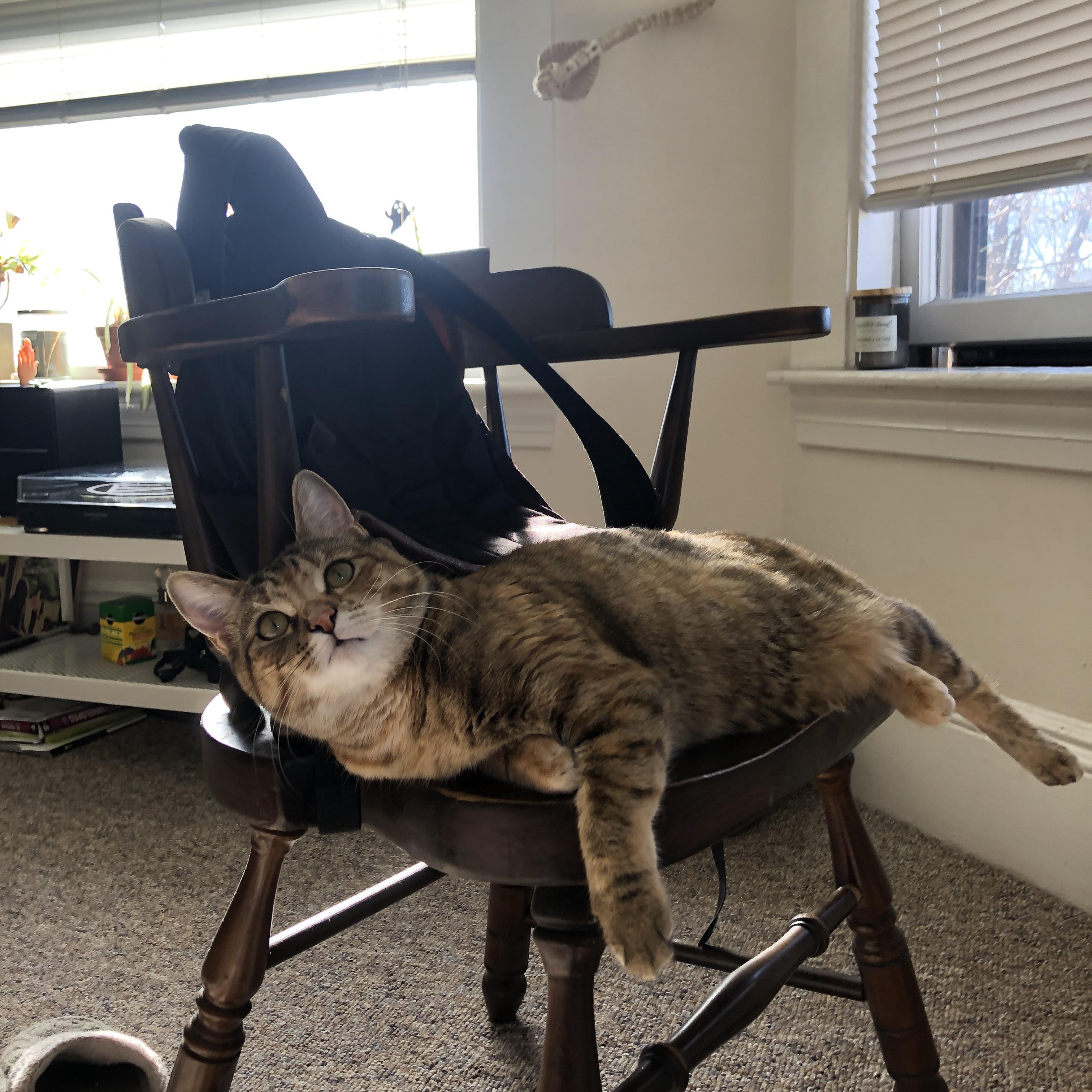 开云体育app-欧冠烽火,枪手正面击溃丹麦铁骑,英超赛场孙兴慜主宰比赛走向