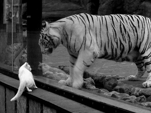 开云体育平台APP-上海队压哨绝杀爵士，马克西进攻端如入无人之境