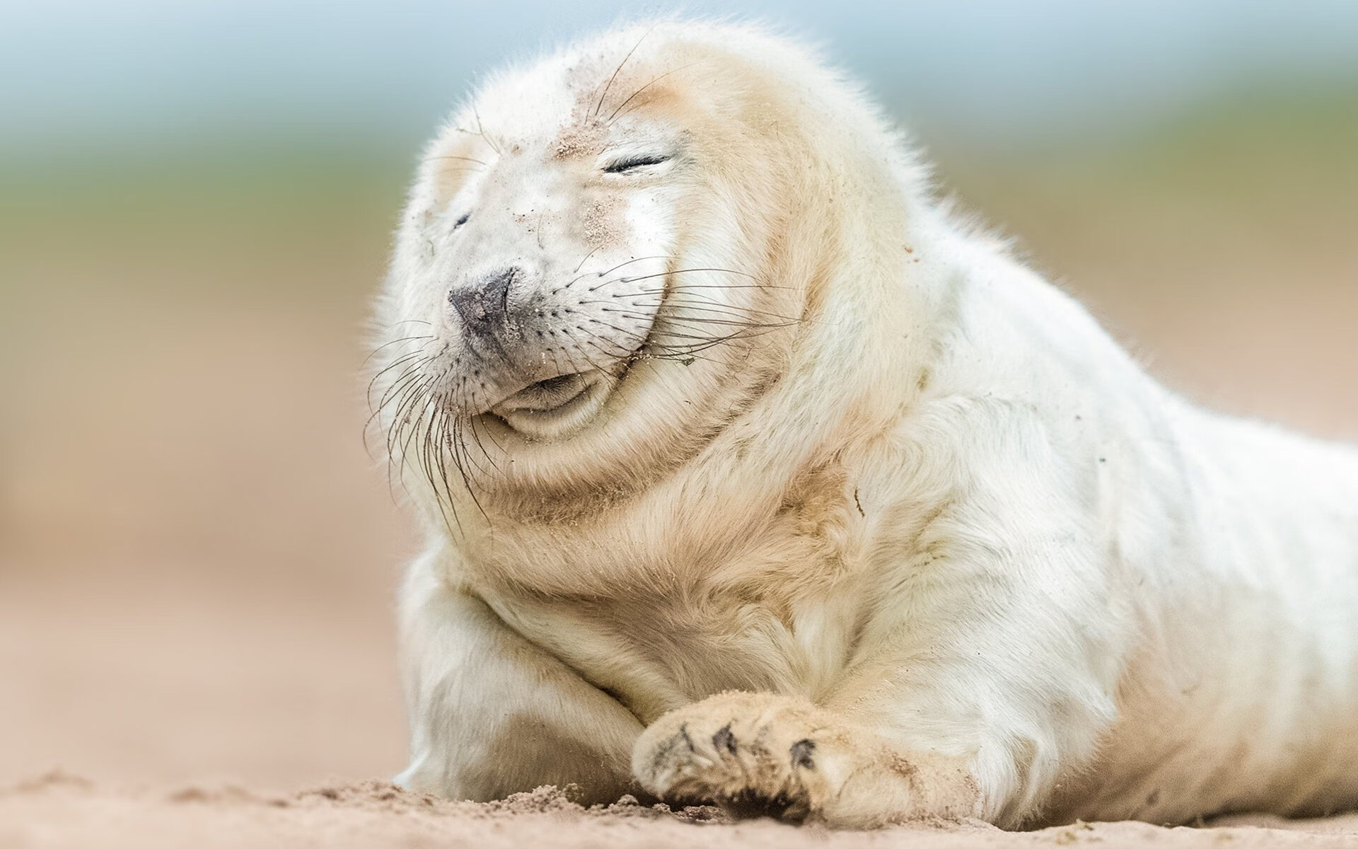 足球之夜，姆巴佩上演帽子戏法，多特蒙德轻取奥地利劲旅