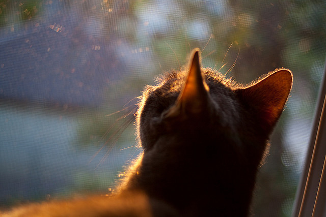 哈登关键先生闪耀，上海队惊天逆转热火创奇迹