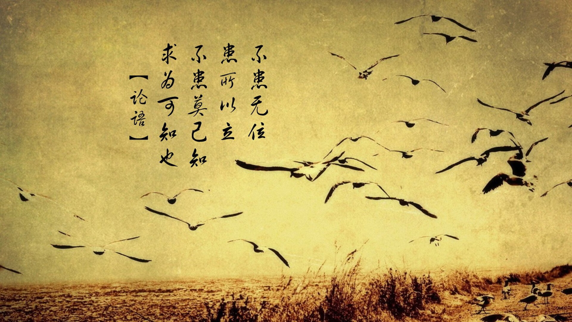 利拉德致命一击！北京队关键战险胜活塞，昂首挺进下一轮