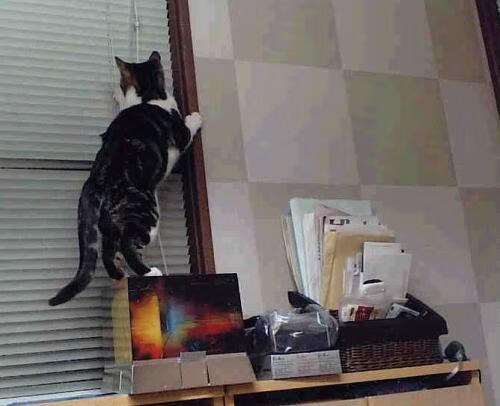 绿色狂潮席卷萨城,休城新星闪耀东决—论凯尔特人的团队攻势与杰伦·格林的个人英雄主义