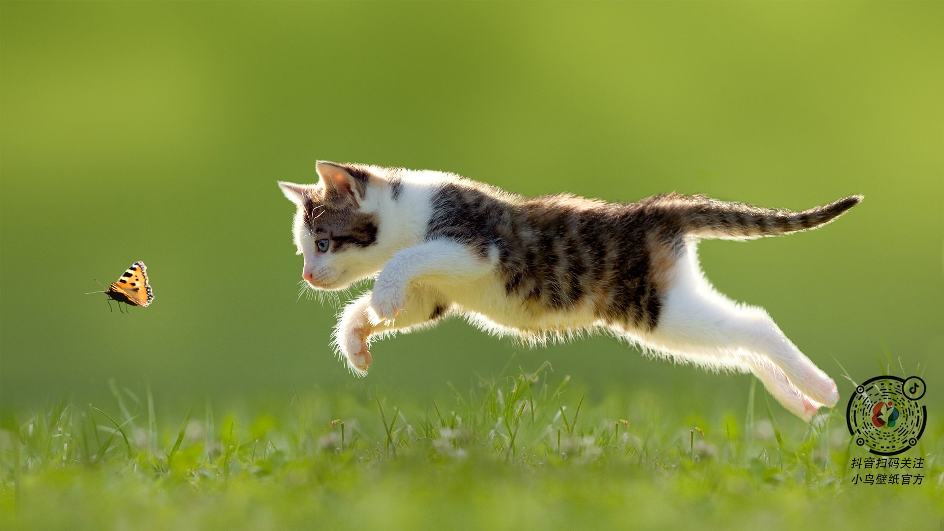 卡马文加末节接管比赛,墨西哥压哨绝杀埃及