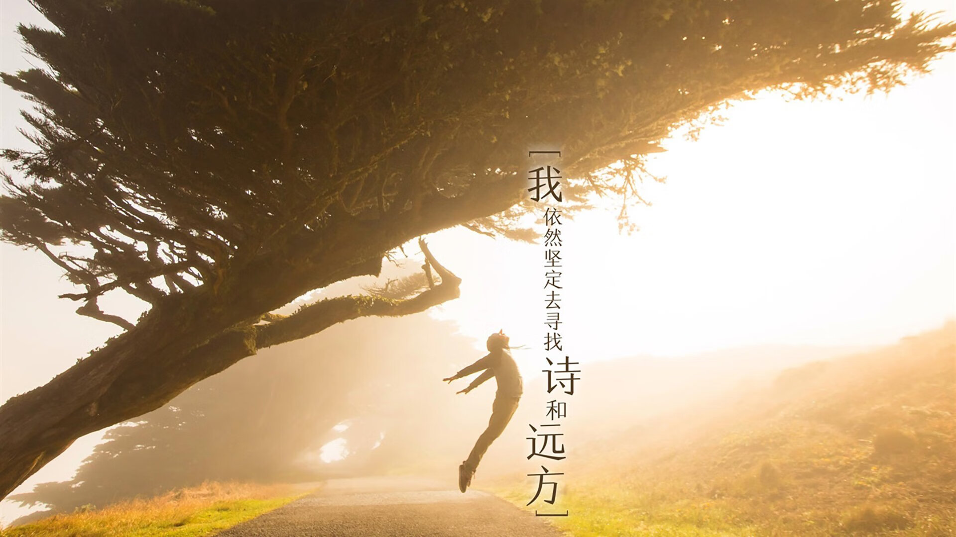 开云体育官网-冰与火之歌,小贾伦在麦迪逊的独舞