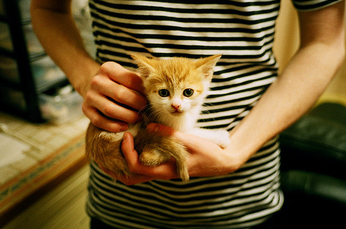 拉文一手掌控比赛走势，奇才惊天翻盘湖人