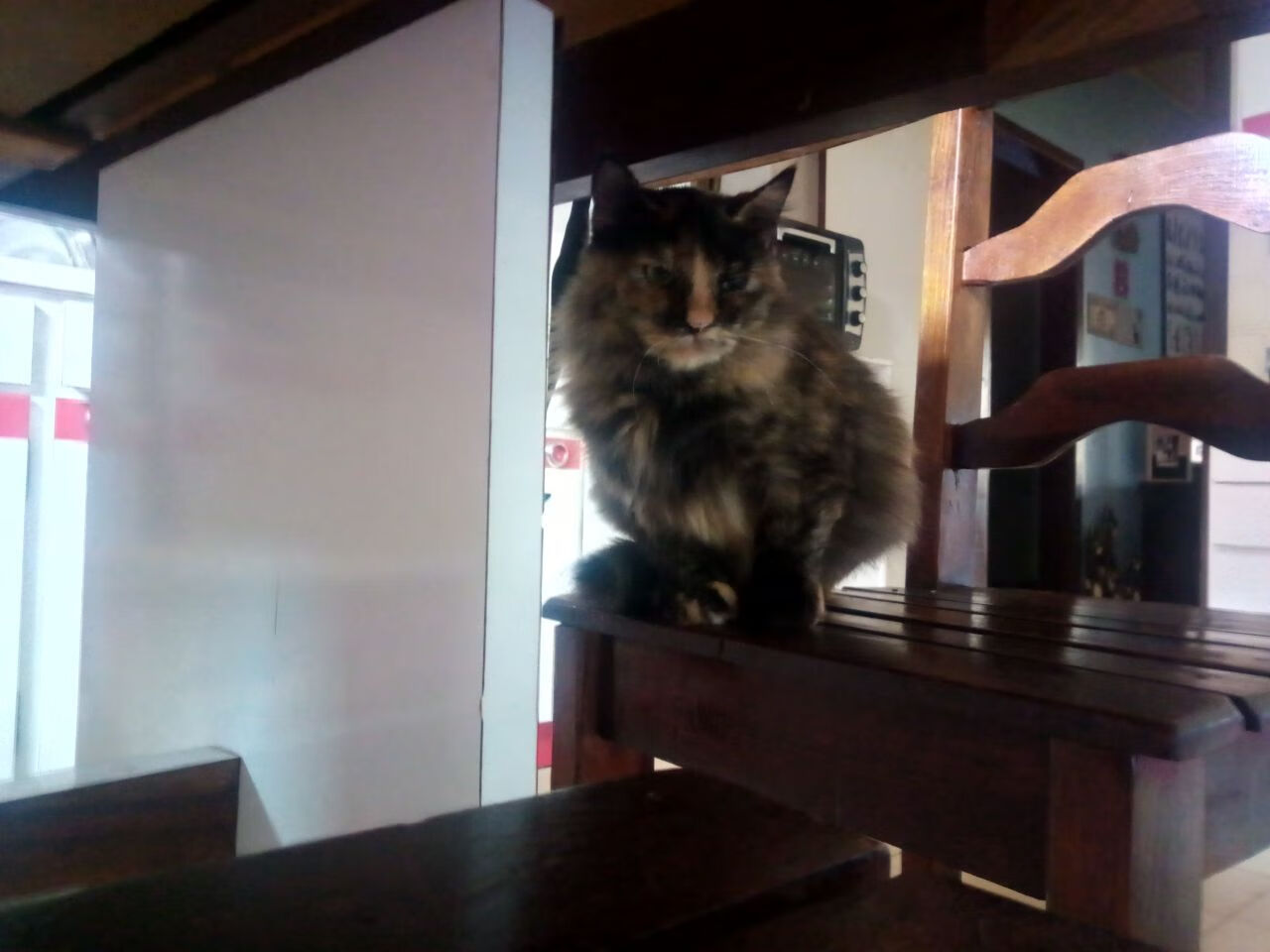 利拉德末节暴走定乾坤！太阳鏖战篮网赢下生死战