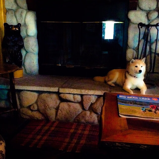 雨夜圣塞巴斯蒂安,戈麦斯加时双响铸就逆转史诗