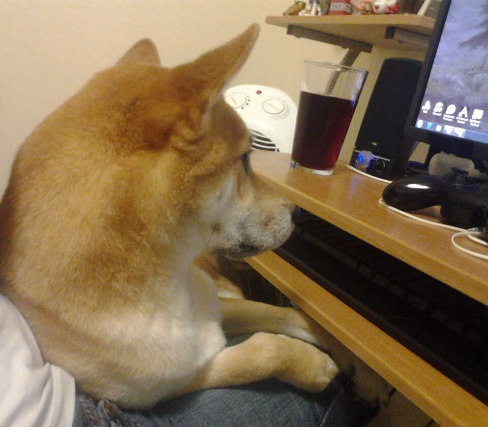 无声德比,当德罗赞在芝加哥之夜上演国家德比