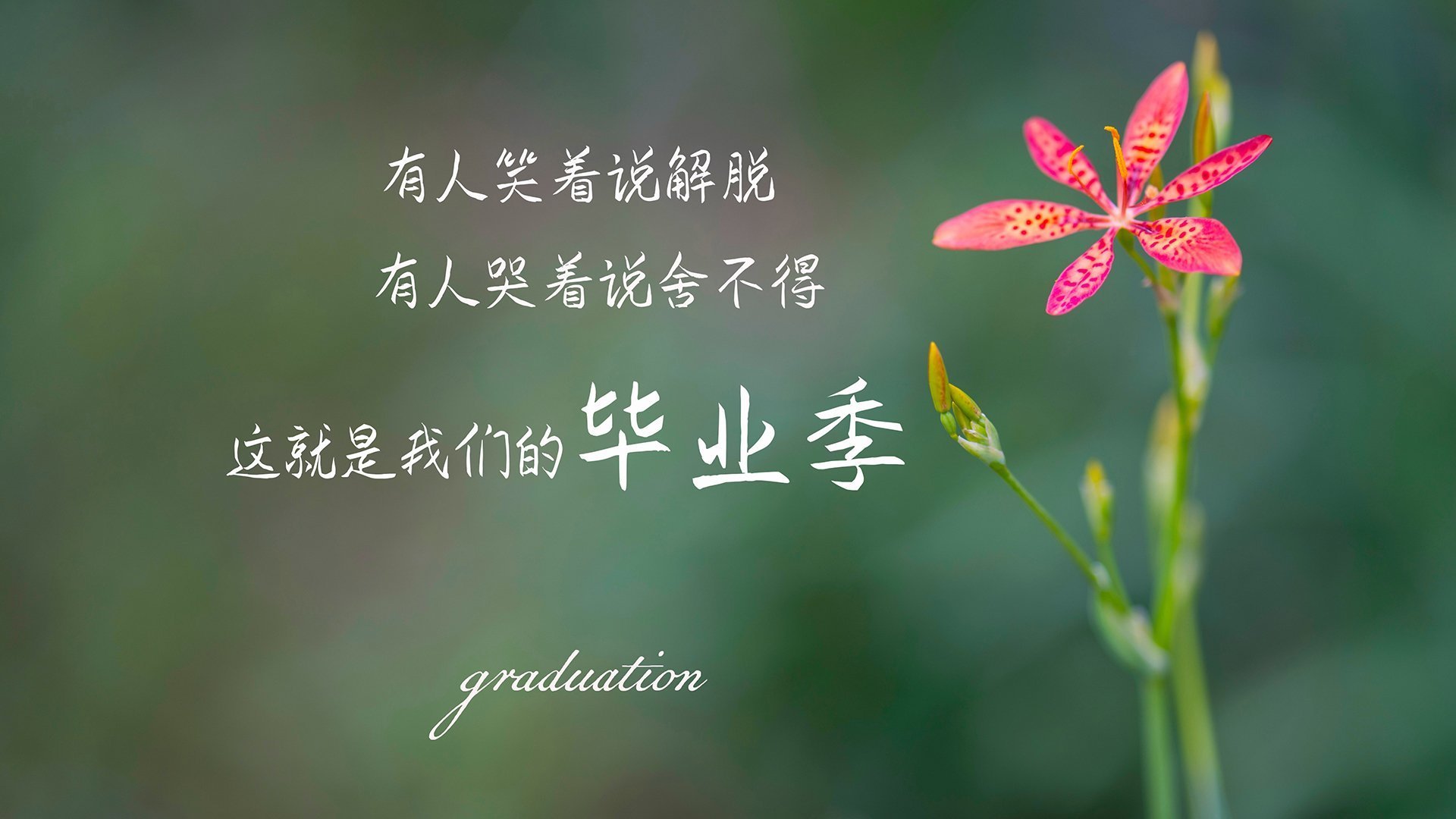 破局者坎特，一颗芥末籽如何搅动国家德比的宿命对决