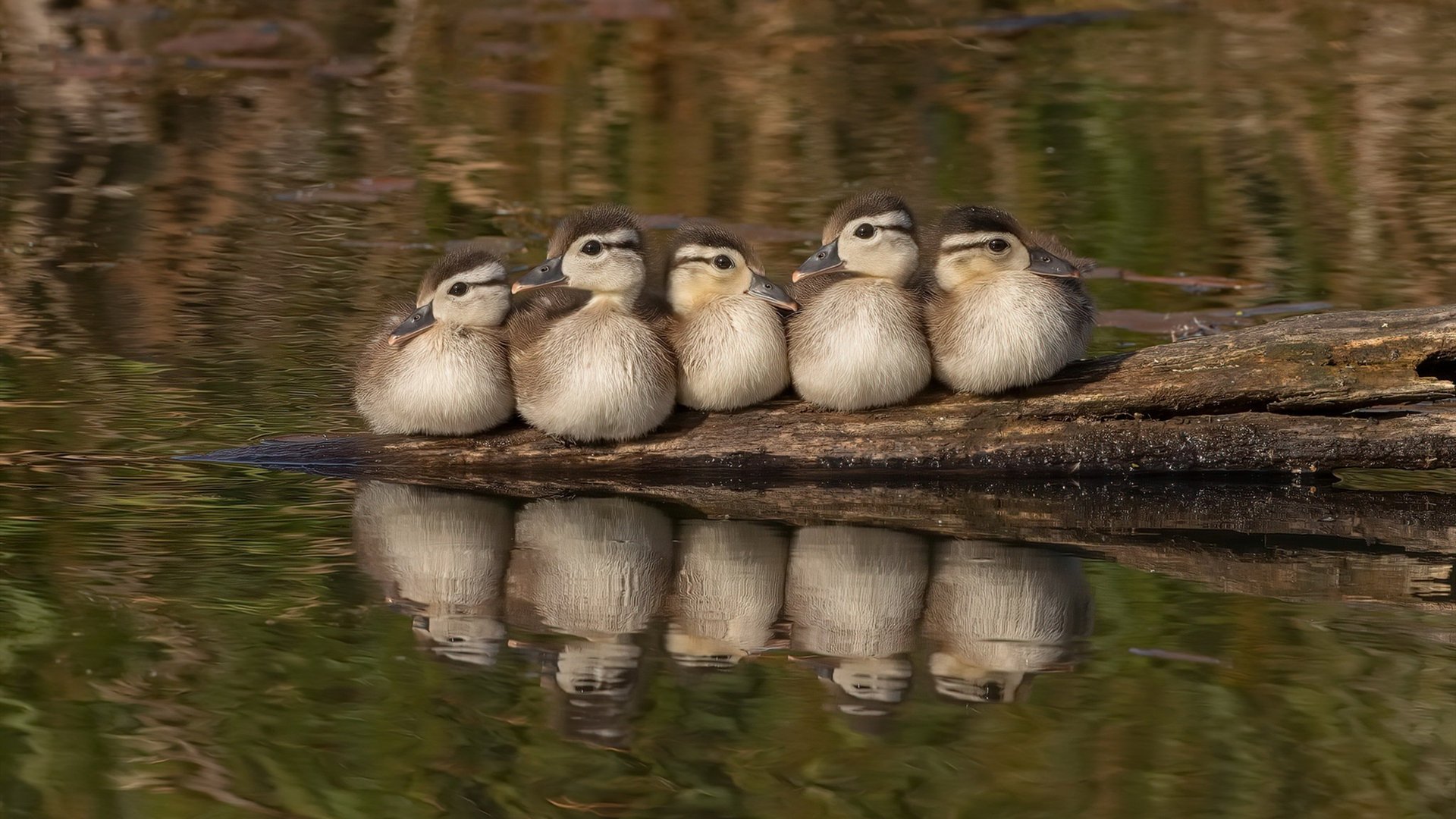 开云APP-赛场之上，硬仗背后的精神引力