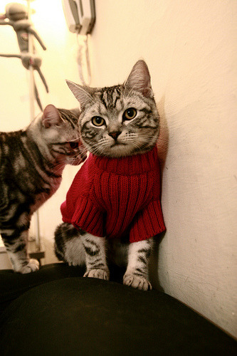 开云体育官网-巅峰对决，国王力克独行侠，贝恩化身关键先生引爆全场